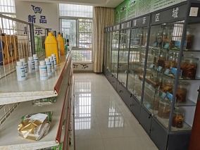 喜報！市水產(chǎn)站榮獲江蘇省漁業(yè)科技服務(wù)與示范推廣一等獎，計算機系統(tǒng)服務(wù)功不可沒